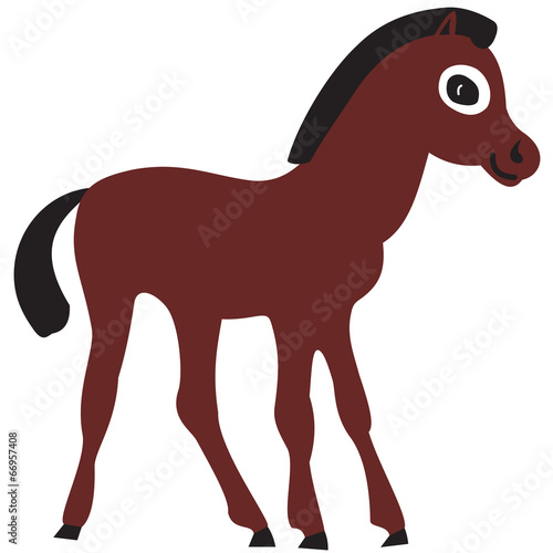 The foal