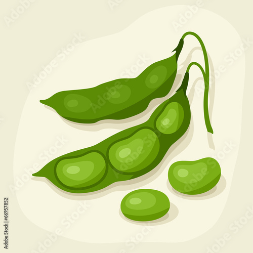 Stylized vector illustration of fresh ripe bean pods.