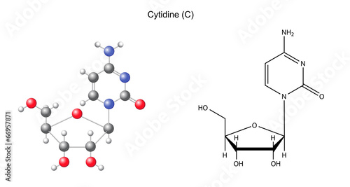 Structural chemical formula and model of cytidine