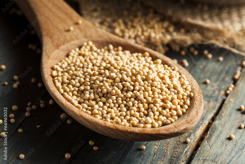 Raw Organic Mustard Seeds