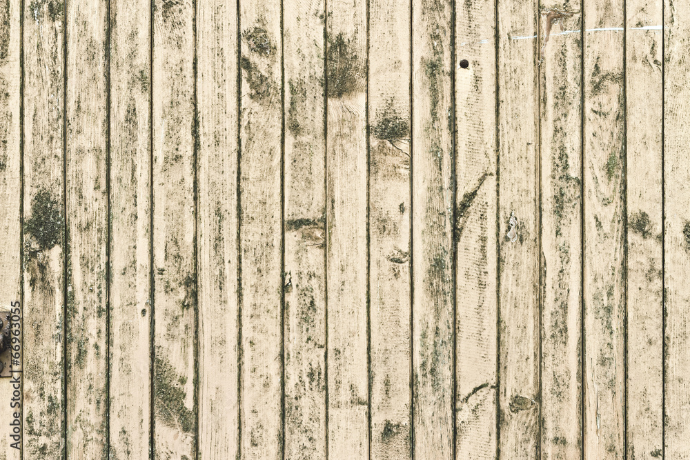 Fototapeta premium The old paint wood texture with natural patterns