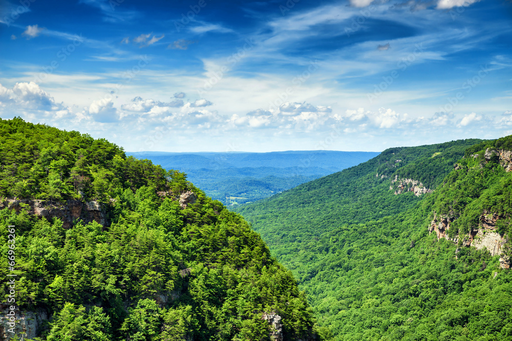 Fototapeta premium High view of Cloudland Canyon State Park in north Georgia