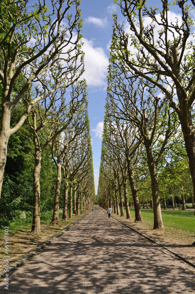 Obraz premium Allée du parc de Sceaux