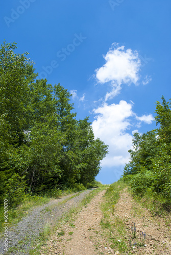 Bild auf Leinwand Hiking Trail