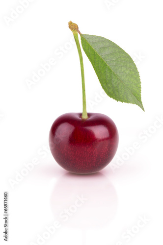 One ripe cherry