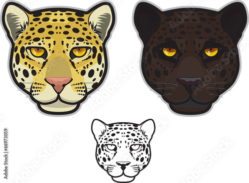 Jaguar or Leopard Face