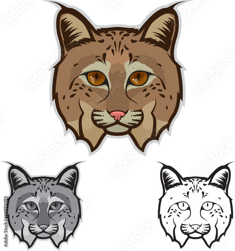 Bobcat Face