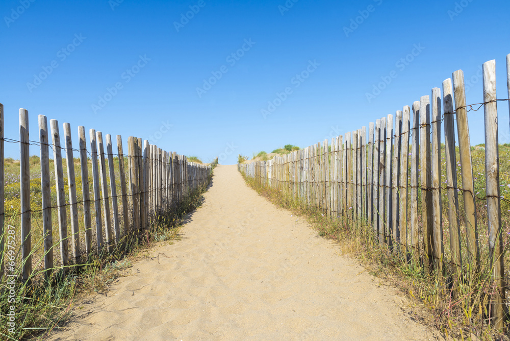 Obraz premium Beach Path
