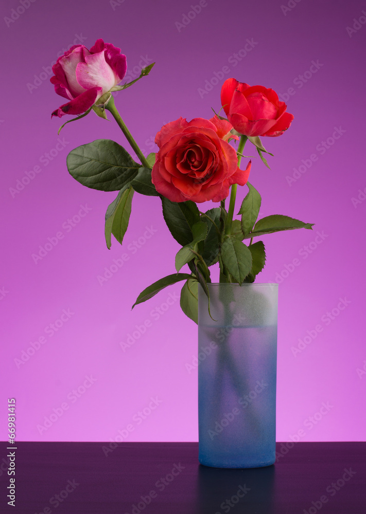 Roses in a vase Roses in a vase