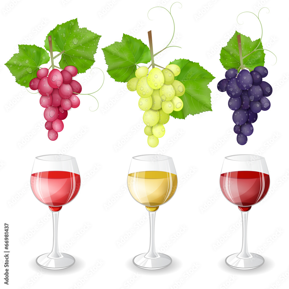 Fototapeta premium Different varieties of grapes and glasses of wine