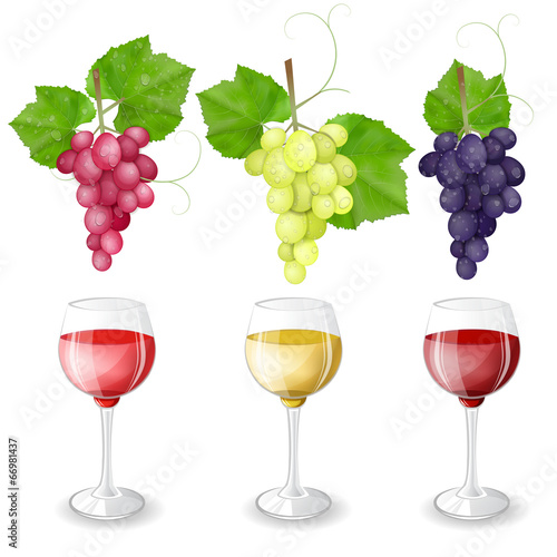Different varieties of grapes and glasses of wine