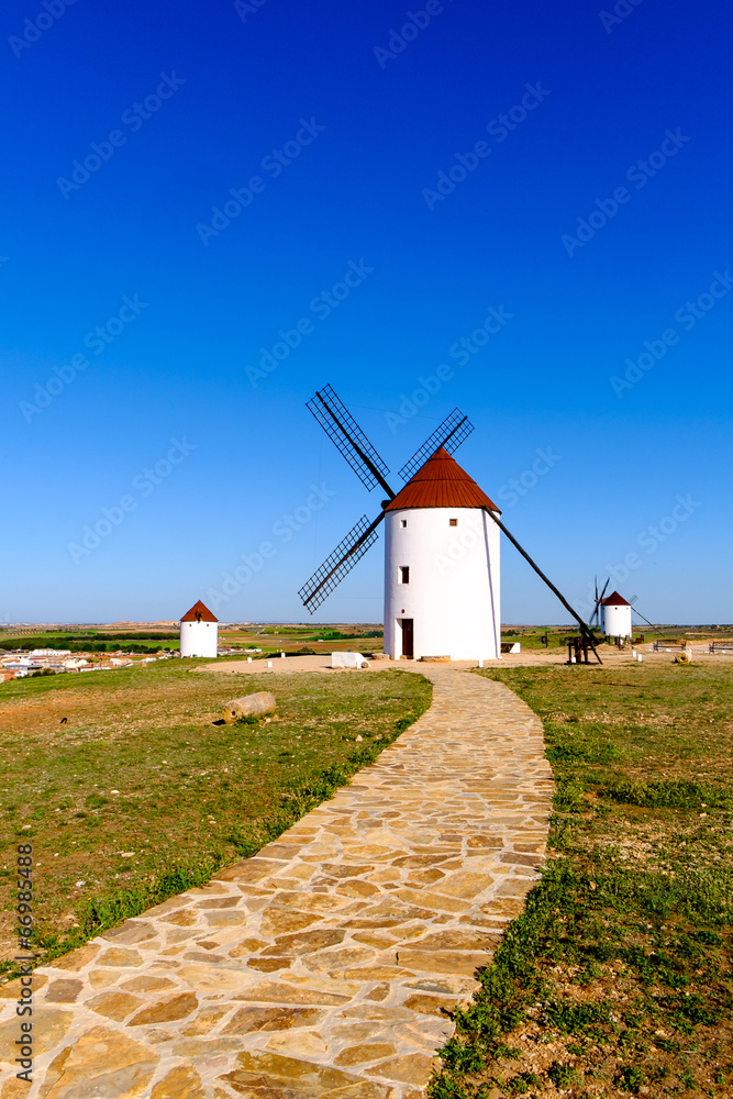 Windmill - obrazy, fototapety, plakaty 