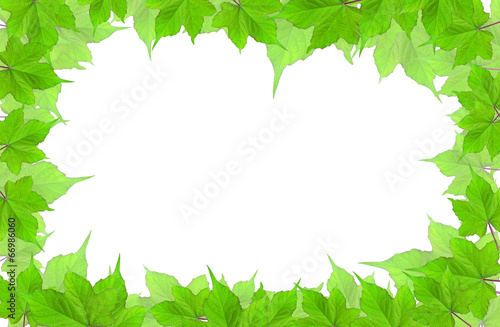 Leaves frame