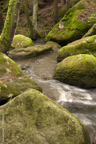 Nature Reserve Doost photo