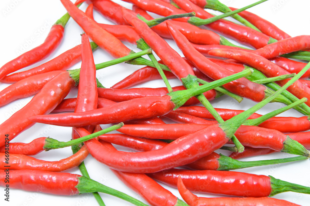 red chilies on white background