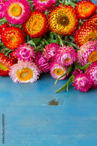 Fototapeta Naklejka Na Ścianę i Meble -  Bouquet of Everlasting flowers