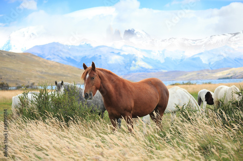 Fototapeta Naklejka Na Ścianę i Meble -  The fantastic lake Lagoon Azul