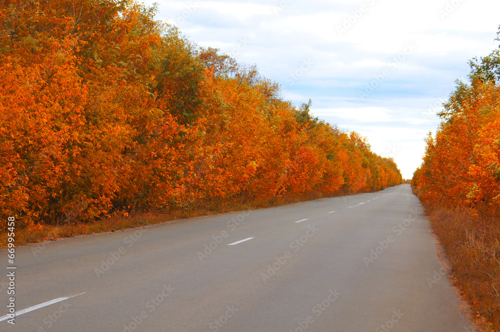 Obraz premium Distance