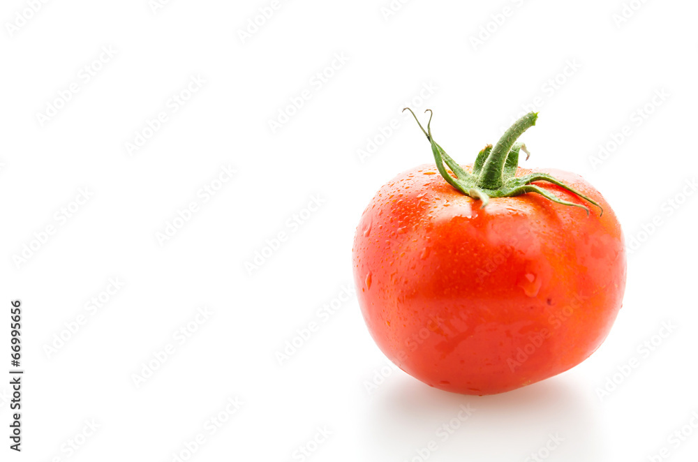 Tomato isolated on white Tomato isolated on white