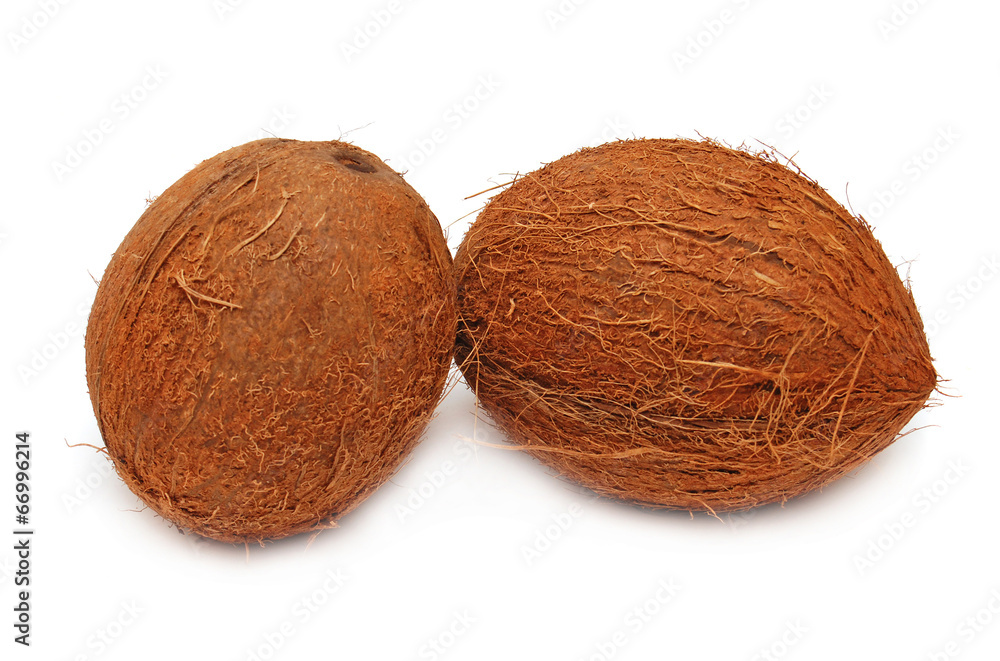 Two coconut Two coconut