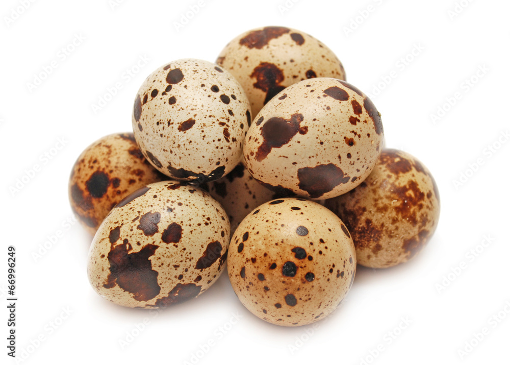 Quail eggs Quail eggs