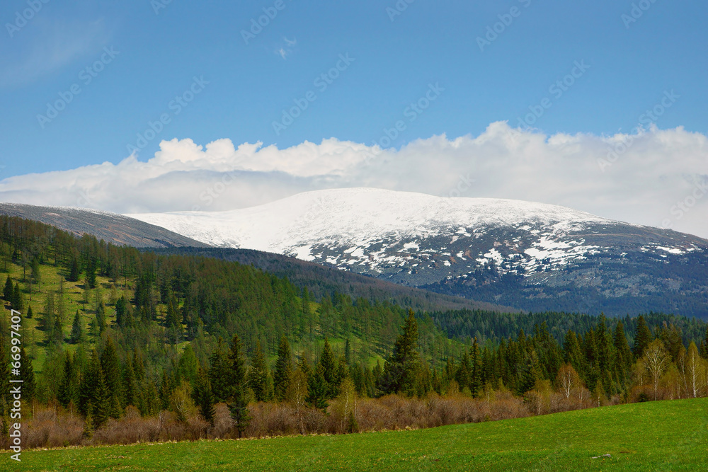 Beautiful alpine landscape with a snowy mountain