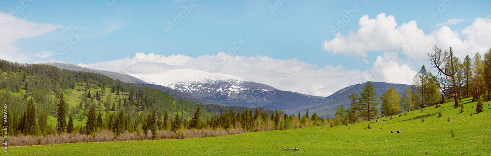 Beautiful alpine panorama with snow-covered mountain and a large