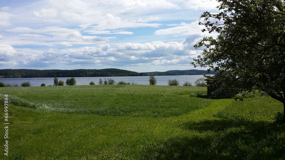 View towards the lake