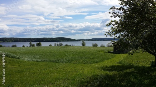 View towards the lake