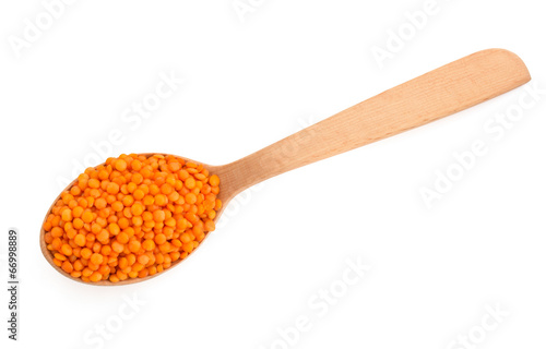 lentil in spoon on white