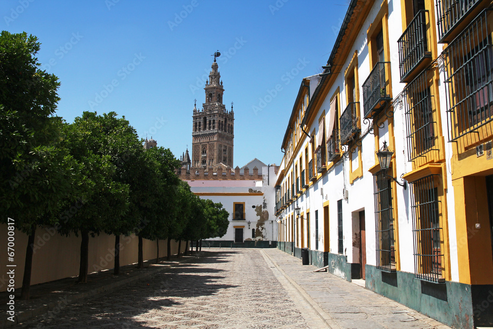 view of Giralda from the Plaza Patio de Banderas, Seville, Spain