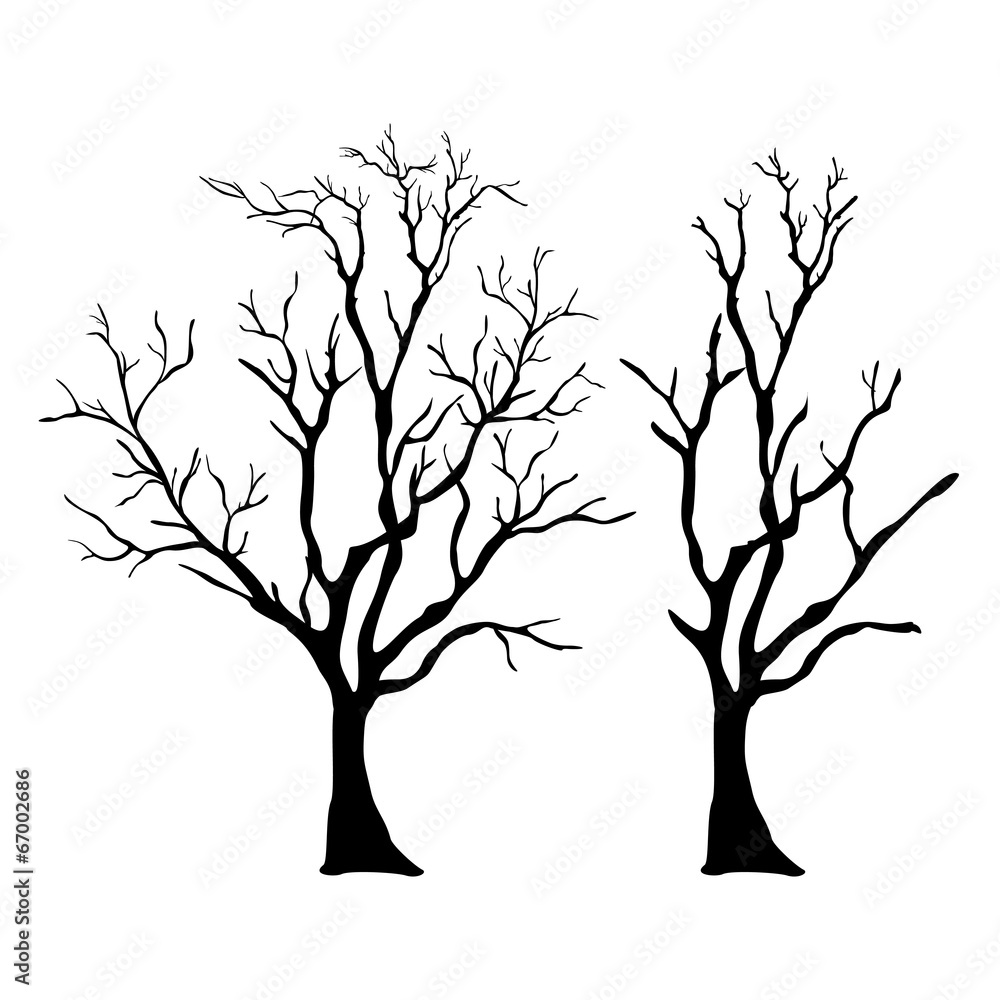 Tree silhouettes Tree silhouettes