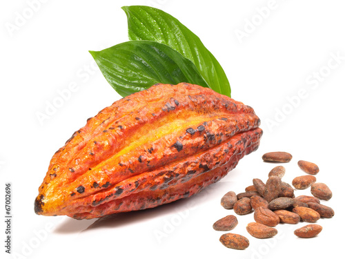 Kakao - Kakaoschote mit Kakaobohnen photo
