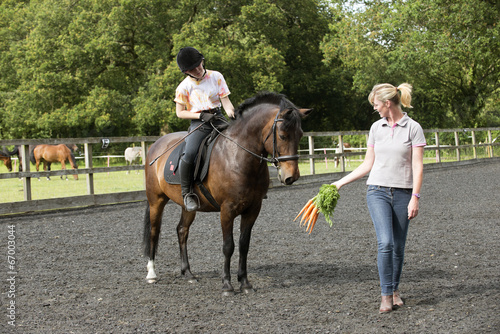 Using a bunch of carrots to train a pony and rider © petert2