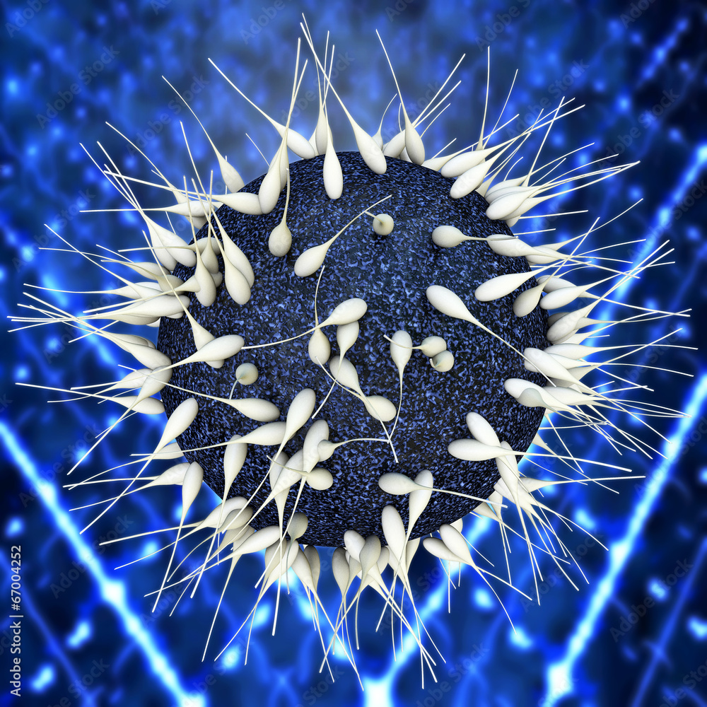 Befruchtung - 3d Render Stock-Illustration | Adobe Stock
