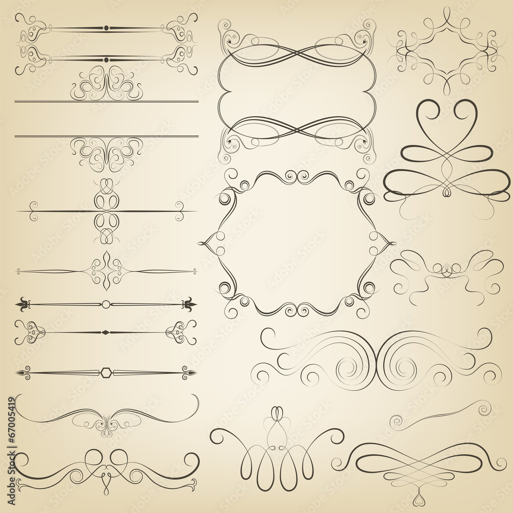 Calligraphic design elements. Vector illustration