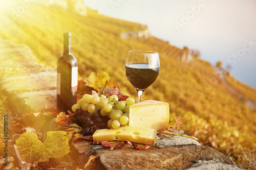 Red wine, cheese and grapes on the terrace of vineyard in Lavaux