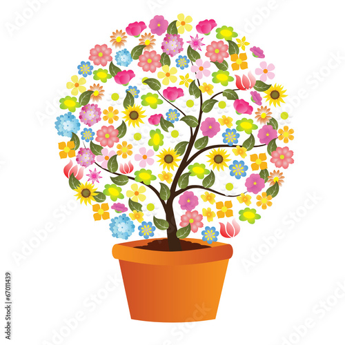 Flores