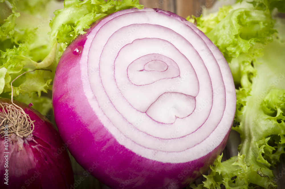 Fototapeta premium Red Onion rings close up on the table