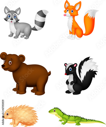 Wild animal cartoon