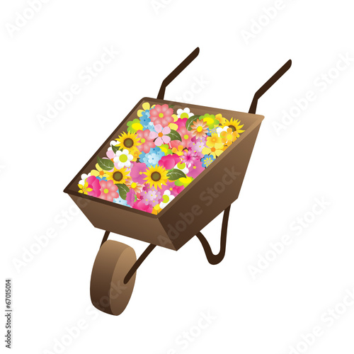 Flores
