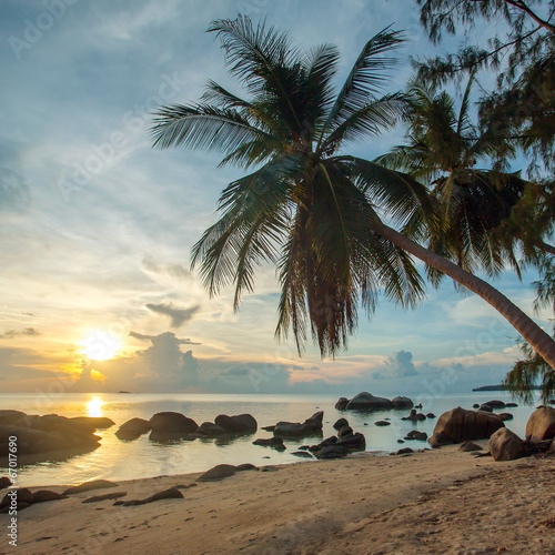A beautiful tropical beach with palm trees at Koh Phangan island