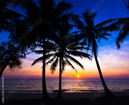 sunset on the beach. Palm trees silhouette on sunset tropical b