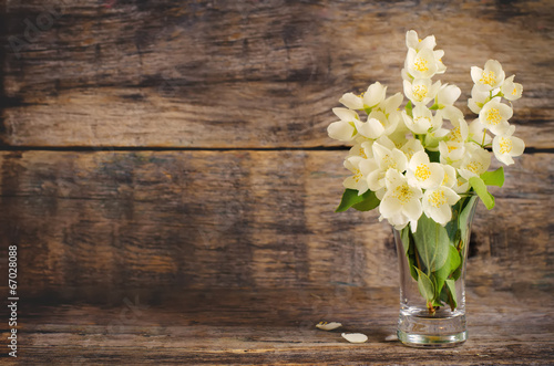 Fototapeta Naklejka Na Ścianę i Meble -  Jasmine flowers