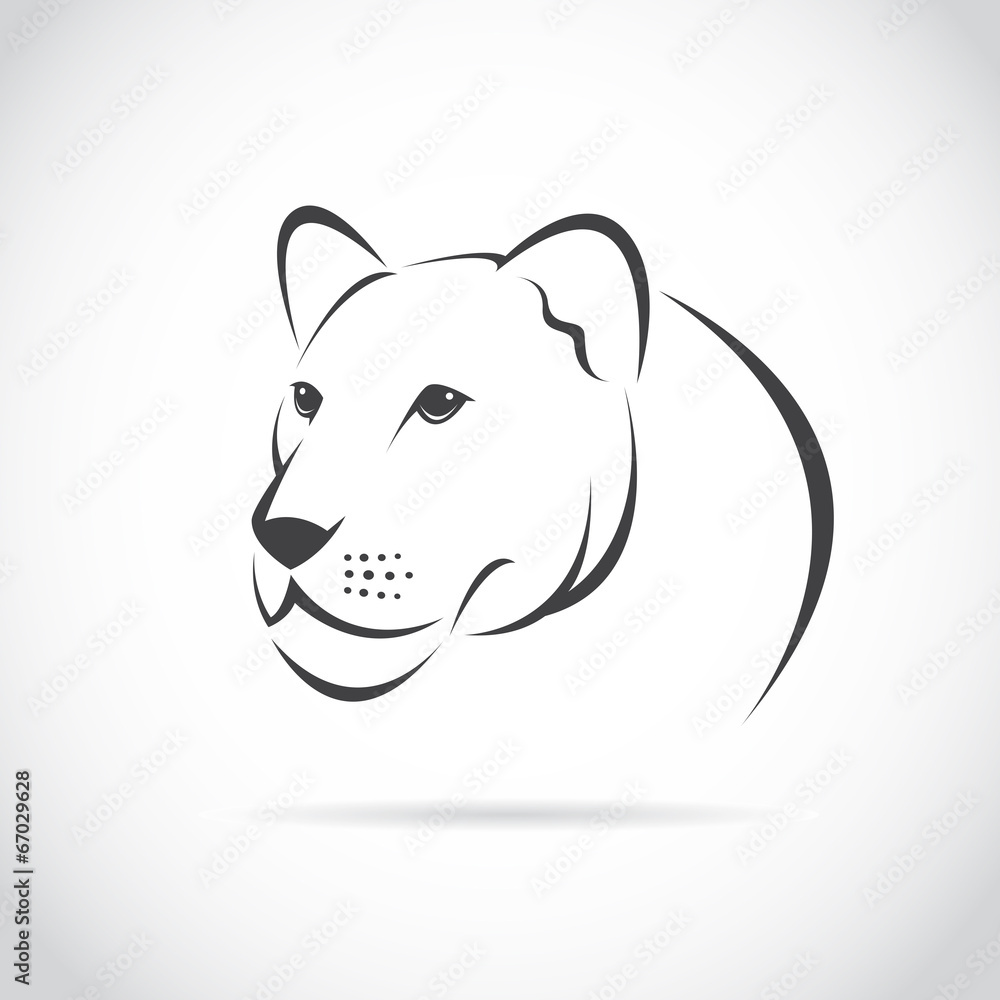 Naklejka premium Vector image of an female lion head