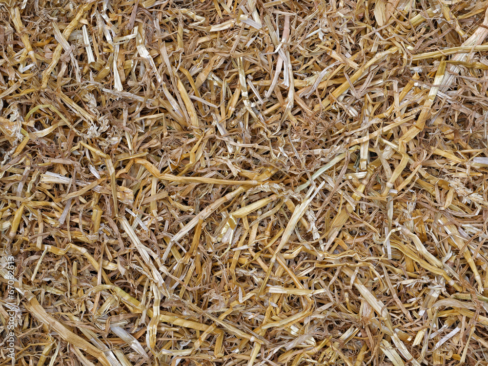Yellow straw texture for background Yellow straw texture for background