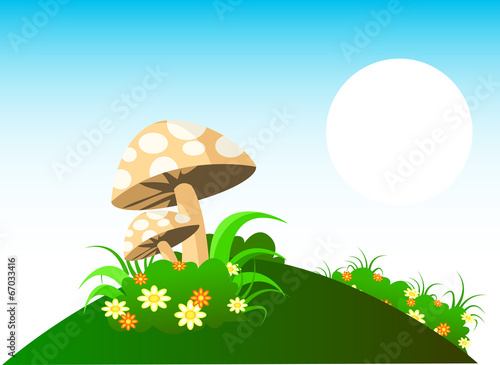 Mushrooms With Ecosystems