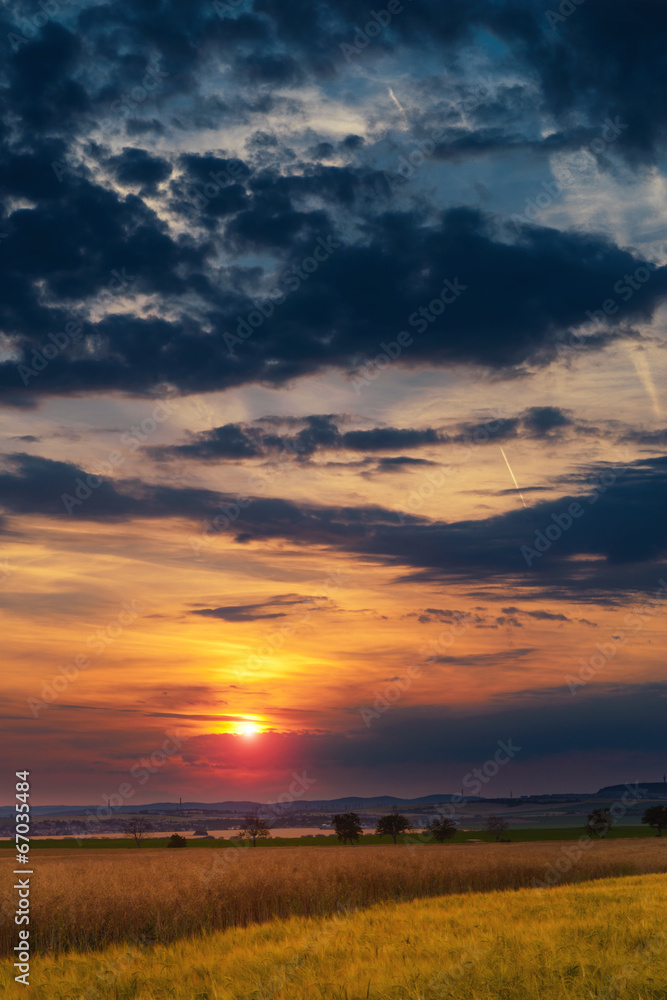 Summer sunset over a field