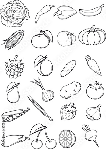 Fototapeta Set of fruits and vegetables