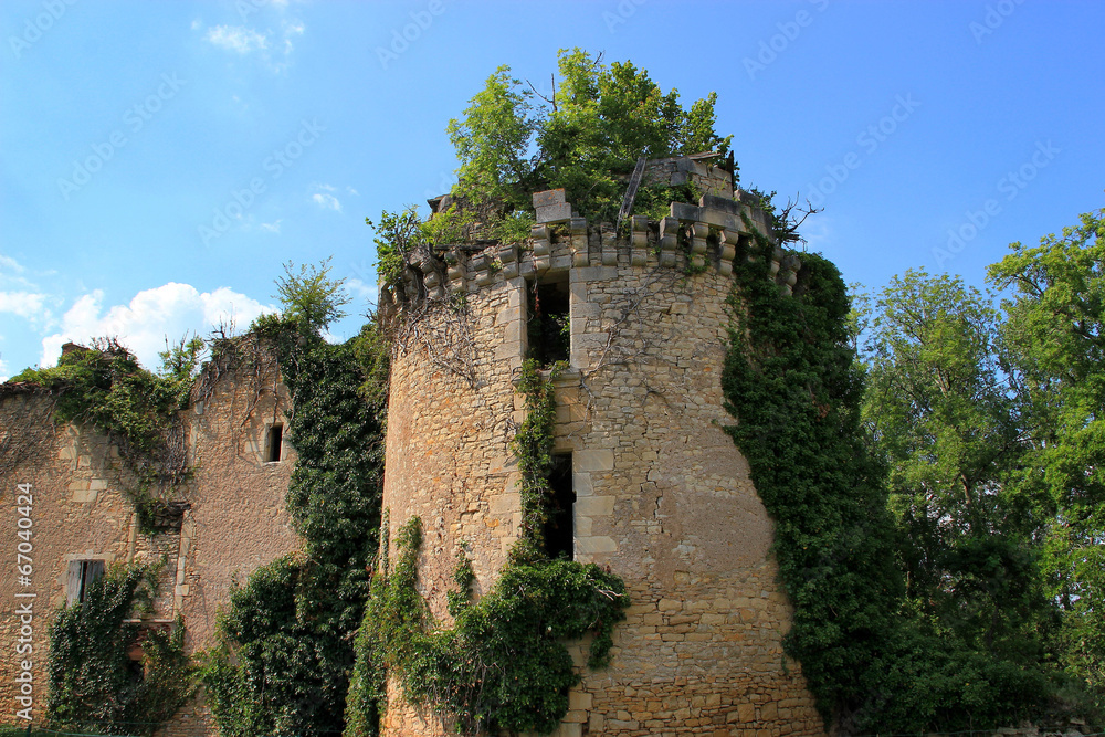 Ruines du château de Marqueyssac.